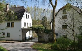 Grünlasmühle